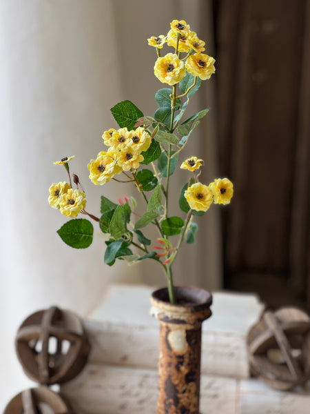 Sweetbriar Rosettes | 23.5" | Yellow