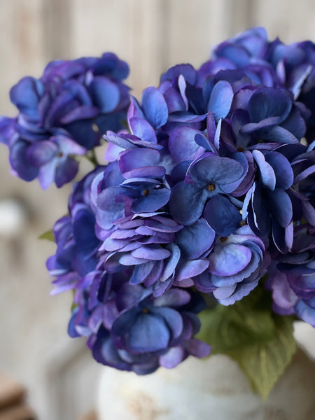 Debut Hydrangeas | 23" | Majestic | SOLD OUT