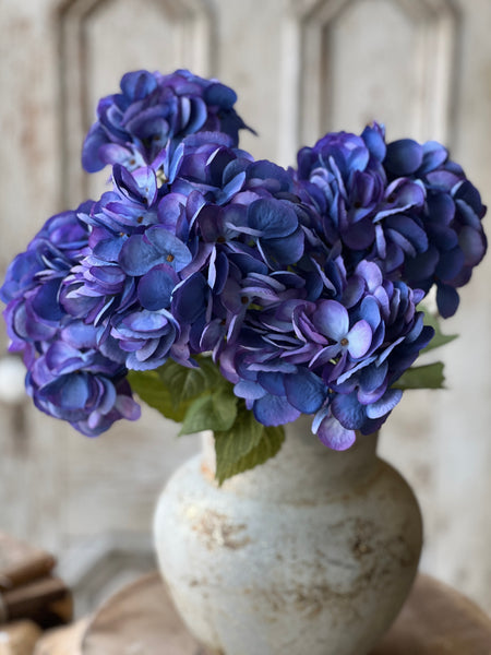 Debut Hydrangeas | 23" | Majestic | SOLD OUT