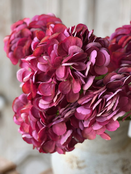 Debut Hydrangeas | 23" | Vanity