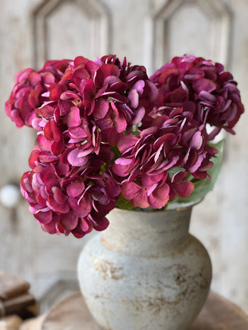 Debut Hydrangeas | 23" | Vanity