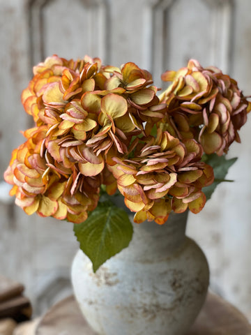 Debut Hydrangeas | 23" | Ginger | SOLD OUT