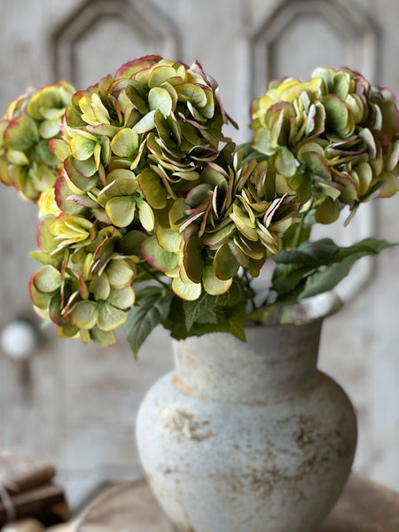 Debut Hydrangeas | 23" | Awaken | SOLD OUT