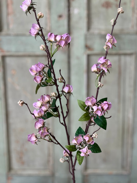 Daphne Blooms | 34" | Rosewood | NOT CURRENTLY IN STOCK-New For Spring 2026!