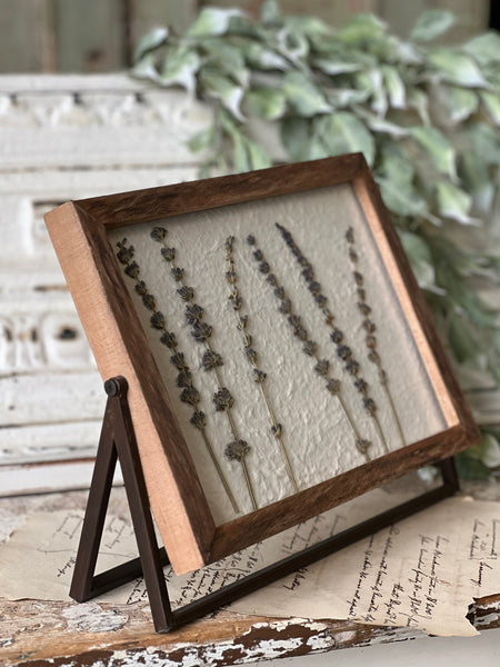 Meadow Glade Gatherings | No. 2