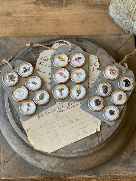 Tiny Treasures Magnets | Pods | Limited Stock - Last 18pcs!