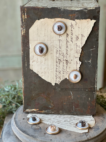 Tiny Treasures Magnets | Pods | Limited Stock - Last 18pcs!