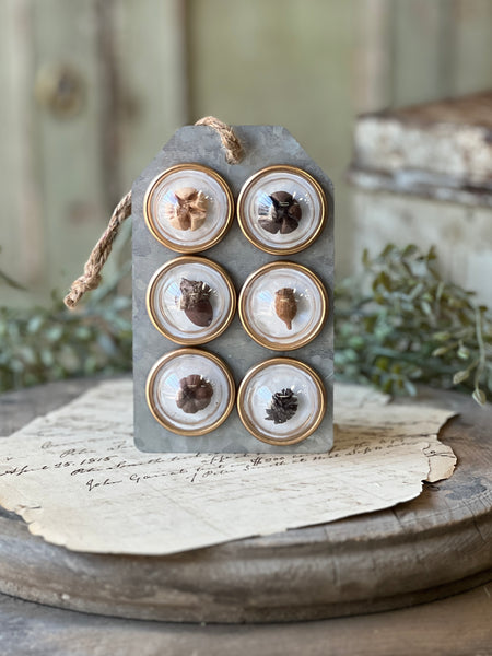 Tiny Treasures Magnets | Pods | Limited Stock - Last 18pcs!