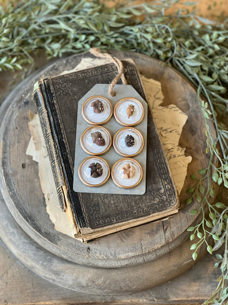 Tiny Treasures Magnets | Pods | Limited Stock - Last 18pcs!