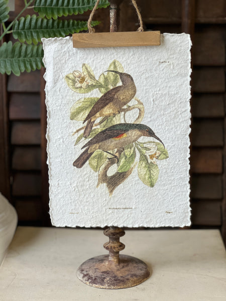 Beguiling Birds Prints | No. 1