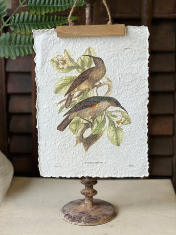 Beguiling Birds Prints | No. 1