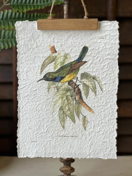 Beguiling Birds Prints | No. 2