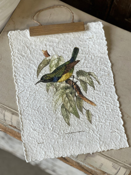 Beguiling Birds Prints | No. 2