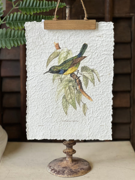 Beguiling Birds Prints | No. 2