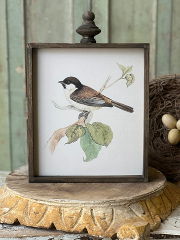 Feathered Friends | No. 2 | Limited Stock - Last 36pcs! (will be discontinued for Spring 2026)