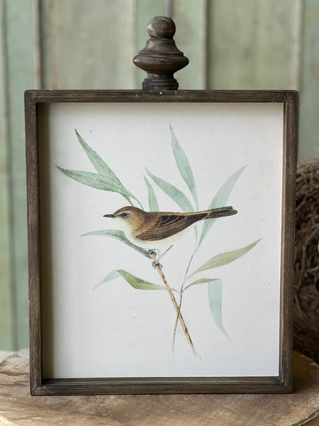 Feathered Friends | No. 3 | Limited Stock - Last 36pcs! (will be discontinued for Spring 2026)