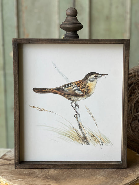 Feathered Friends | No. 4 | Limited Stock - Last 32pcs! (will be discontinued for Spring 2026)