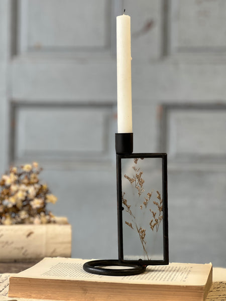 Botanical Candle Holder | 6.75" | Reef