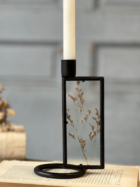 Botanical Candle Holder | 6.75" | Reef