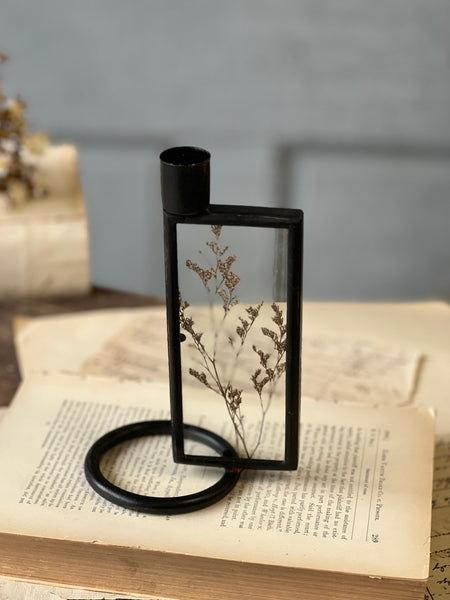 Botanical Candle Holder | 6.75" | Reef