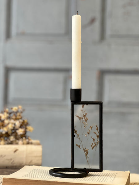 Botanical Candle Holder | 6.75" | Reef