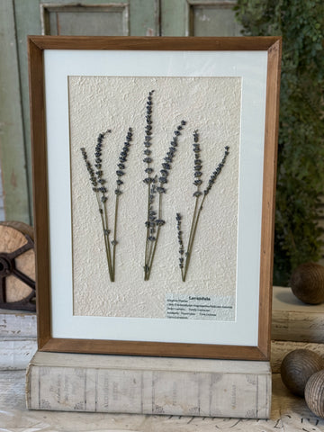 Riverton Botanicals | No. 1 | 20" | NOT CURRENTLY IN STOCK-New For Spring 2027!