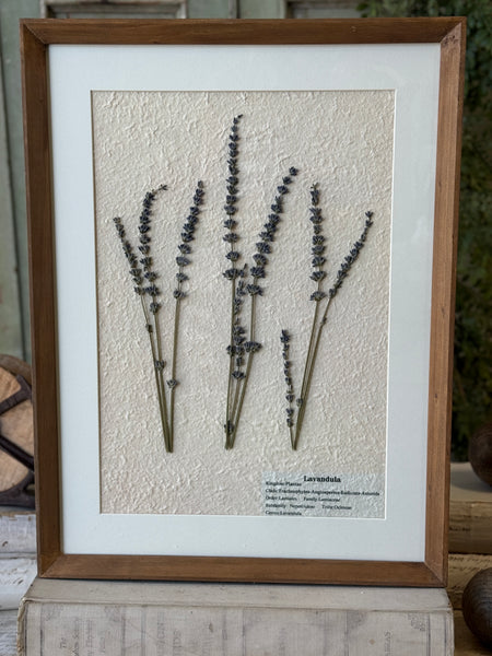 Riverton Botanicals | No. 1 | 20" | NOT CURRENTLY IN STOCK-New For Spring 2027!