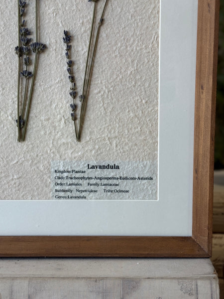 Riverton Botanicals | No. 1 | 20" | NOT CURRENTLY IN STOCK-New For Spring 2027!