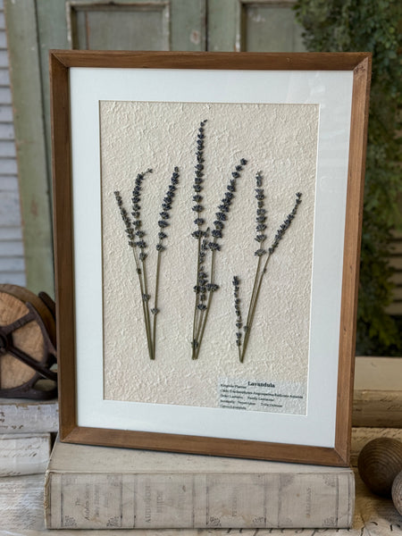 Riverton Botanicals | No. 1 | 20" | NOT CURRENTLY IN STOCK-New For Spring 2027!