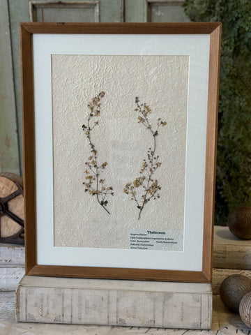 Riverton Botanicals | No. 2 | 20" | NOT CURRENTLY IN STOCK-New For Spring 2027!