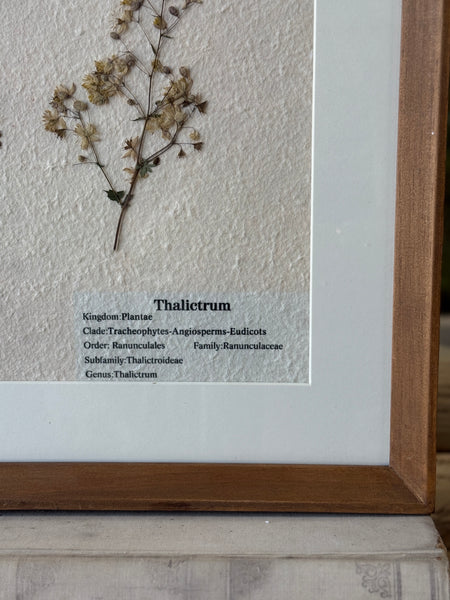 Riverton Botanicals | No. 2 | 20" | NOT CURRENTLY IN STOCK-New For Spring 2027!