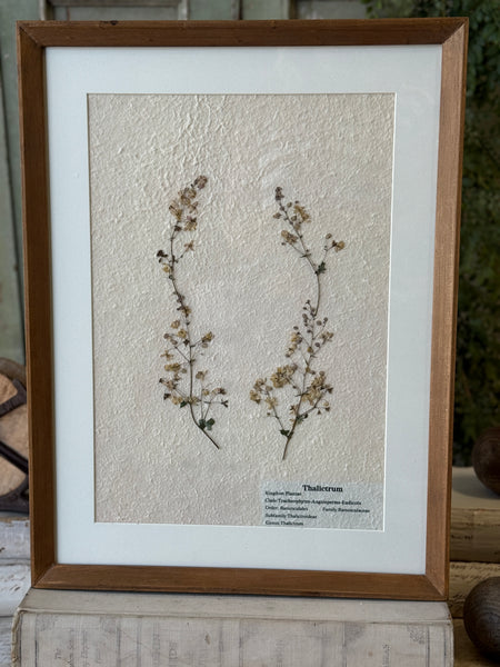 Riverton Botanicals | No. 2 | 20" | NOT CURRENTLY IN STOCK-New For Spring 2027!
