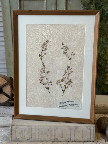 Riverton Botanicals | No. 2 | 20" | NOT CURRENTLY IN STOCK-New For Spring 2027!