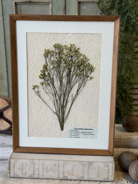 Riverton Botanicals | No. 3 | 20" | NOT CURRENTLY IN STOCK-New For Spring 2027!