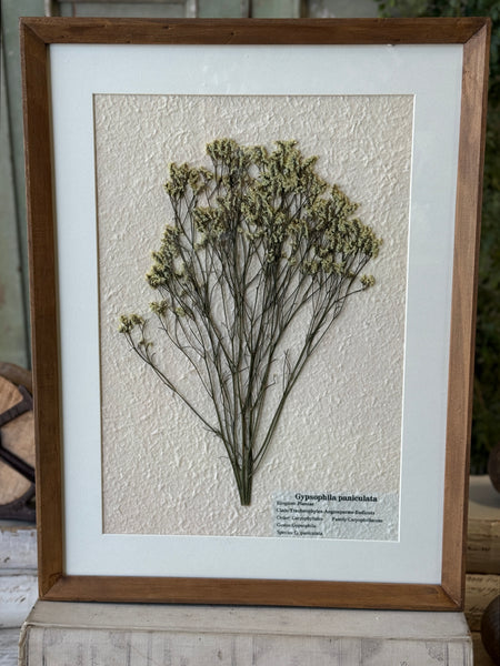 Riverton Botanicals | No. 3 | 20" | NOT CURRENTLY IN STOCK-New For Spring 2027!