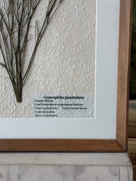 Riverton Botanicals | No. 3 | 20" | NOT CURRENTLY IN STOCK-New For Spring 2027!