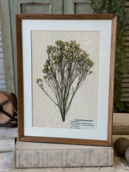Riverton Botanicals | No. 3 | 20" | NOT CURRENTLY IN STOCK-New For Spring 2027!