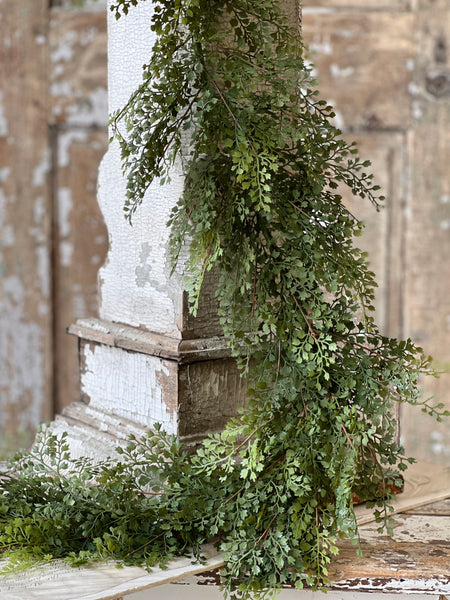 Damsel Fern Garland | 6' | NOT CURRENTLY IN STOCK - ETA December
