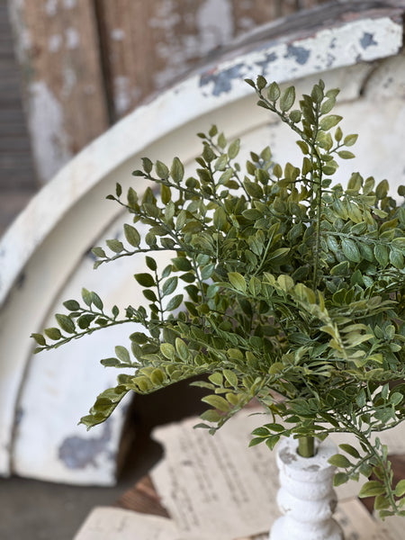 Parterre Leaves Bush | 16" | NOT CURRENTLY IN STOCK - ETA December