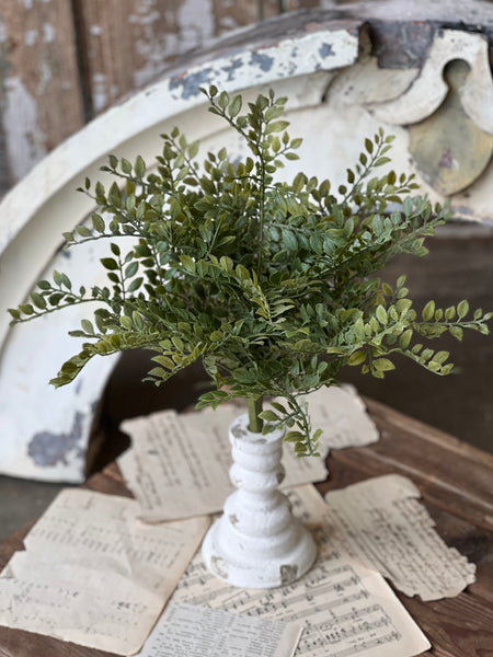 Parterre Leaves Bush | 16" | NOT CURRENTLY IN STOCK - ETA December