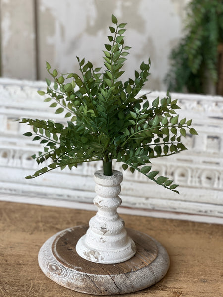 Wood Thrush Leaves Bush | 15" | NOT CURRENTLY IN STOCK - ETA December