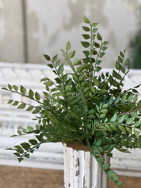 Wood Thrush Leaves Bush | 15" | NOT CURRENTLY IN STOCK - ETA December