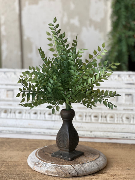 Wood Thrush Leaves Bush | 15" | NOT CURRENTLY IN STOCK - ETA December