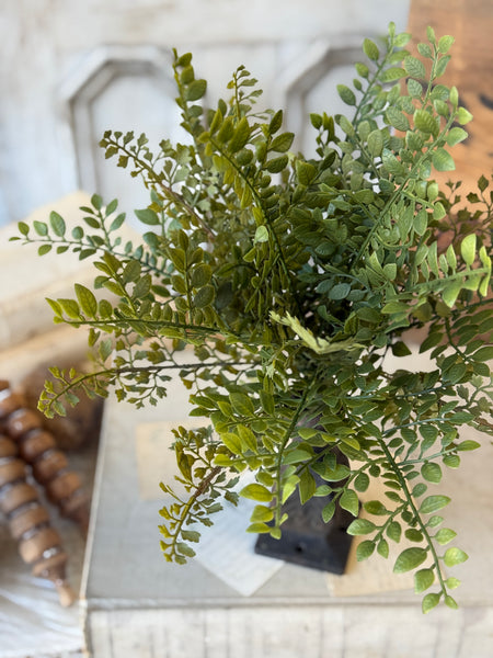 Kenwick Leaves Bush | 16" | NOT CURRENTLY IN STOCK-New For Spring 2027!