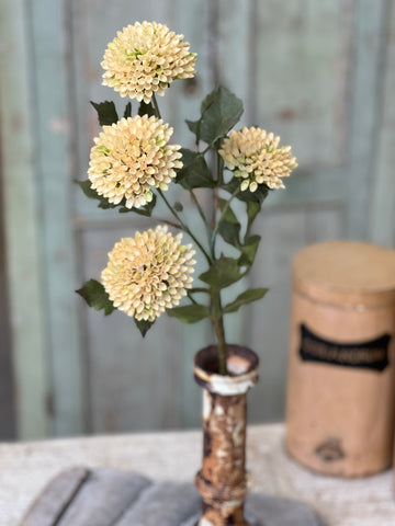 Picadilly Spray | 25" | Alabaster