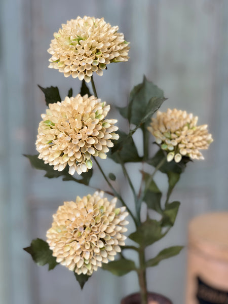 Picadilly Spray | 25" | Alabaster