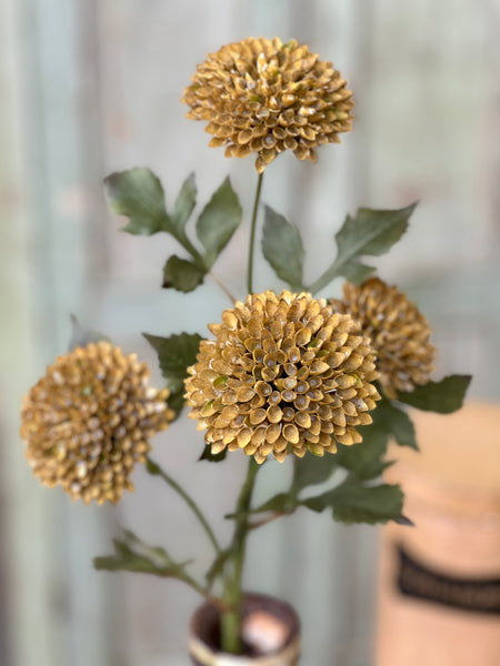 Picadilly Spray | 25" | Oat | Limited Stock - Last 108pcs! (Will be discontinued for Holiday 2026)