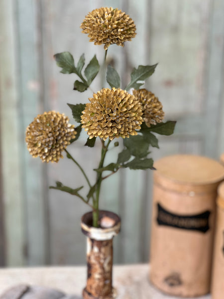 Picadilly Spray | 25" | Oat | Limited Stock - Last 108pcs! (Will be discontinued for Holiday 2026)