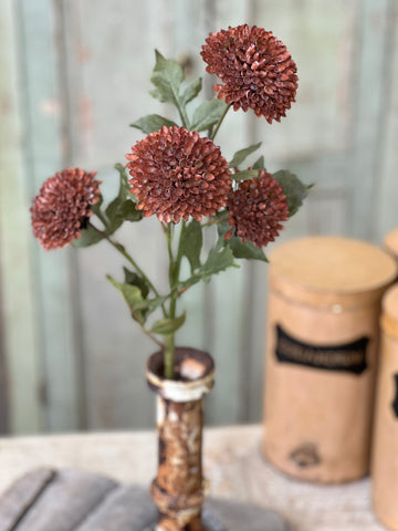 Picadilly Spray | 25" | Rosewood | SOLD OUT