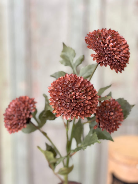 Picadilly Spray | 25" | Rosewood | SOLD OUT